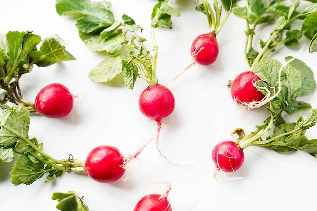 Beauty shot of radishes