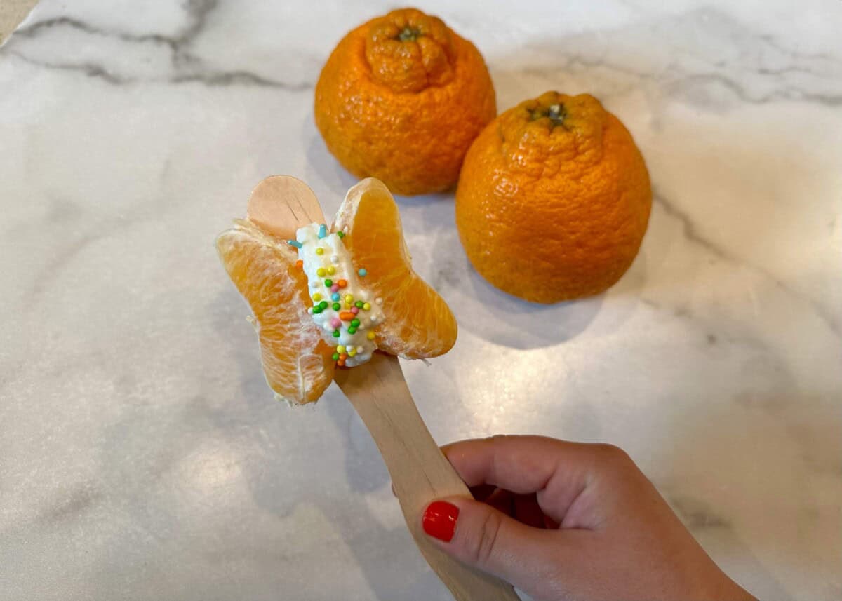close up of mandarin butterfly on popsicles stick