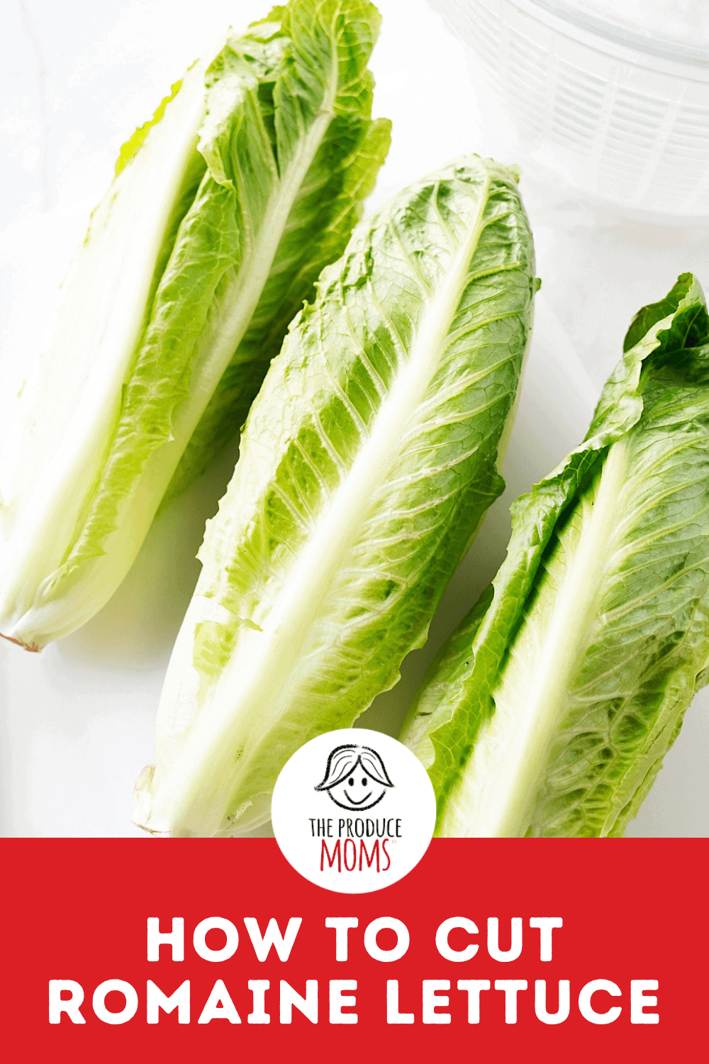 Pinterest Pin How To Cut Romaine Lettuce