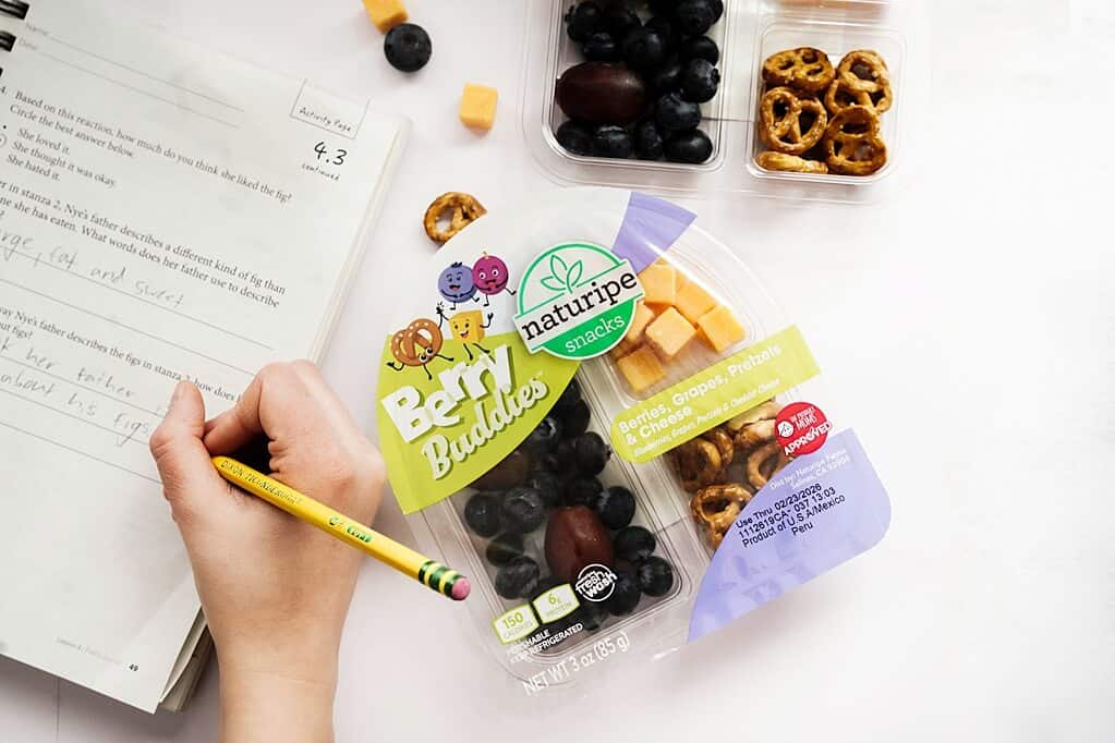 Kid working in a notebook with Berry Buddies