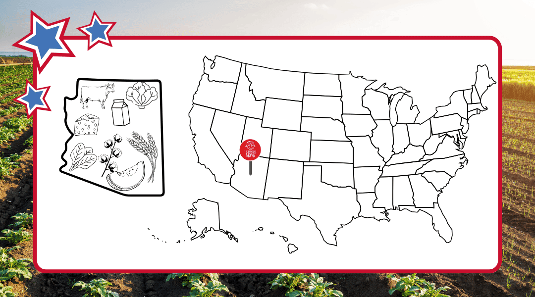 US Map with a pin in Arizona and an outline of the state with some of the top agricultural commodities