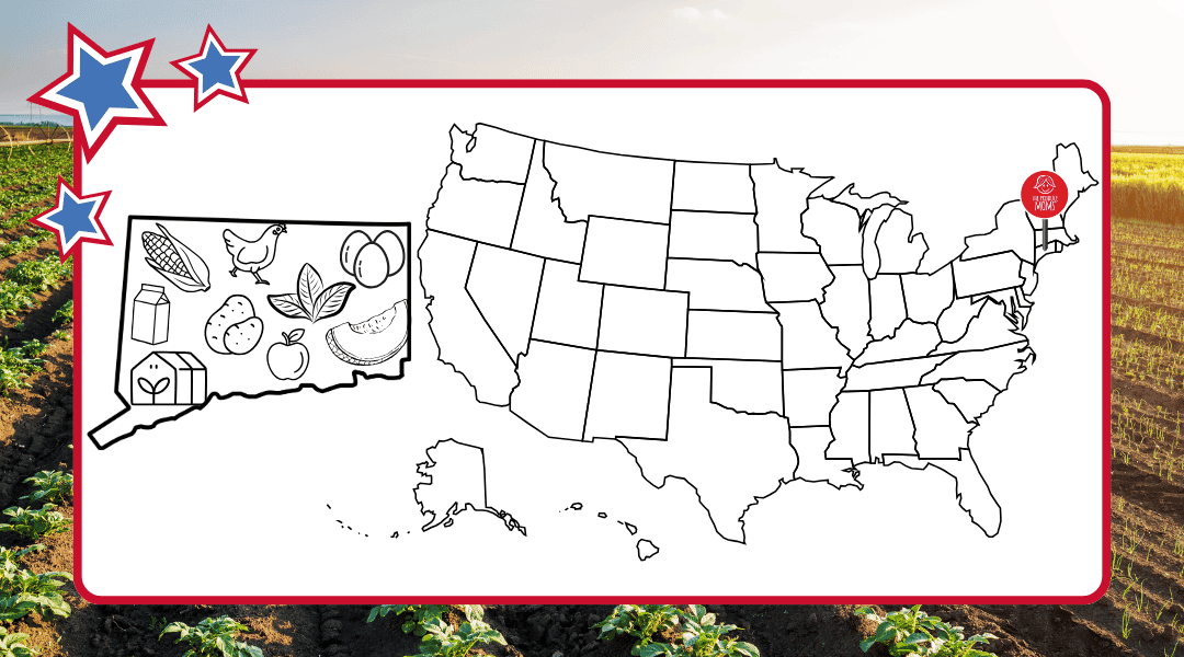 US Map with a pin in Connecticut and an outline of the state with some of the top agricultural commodities