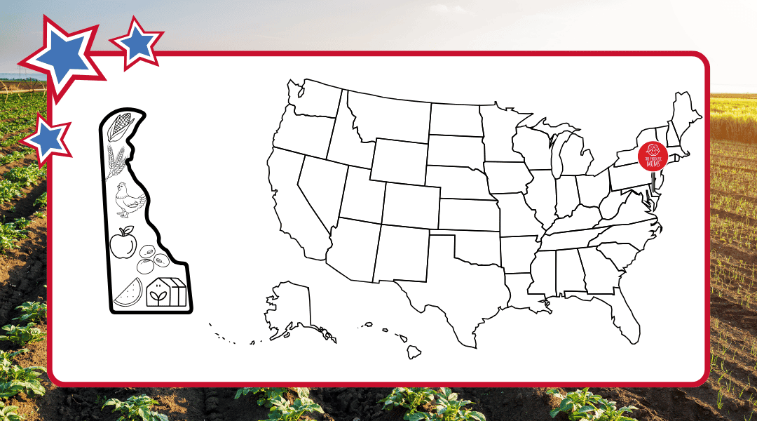 US Map with a pin in Delaware and an outline of the state with some of the top agricultural commodities