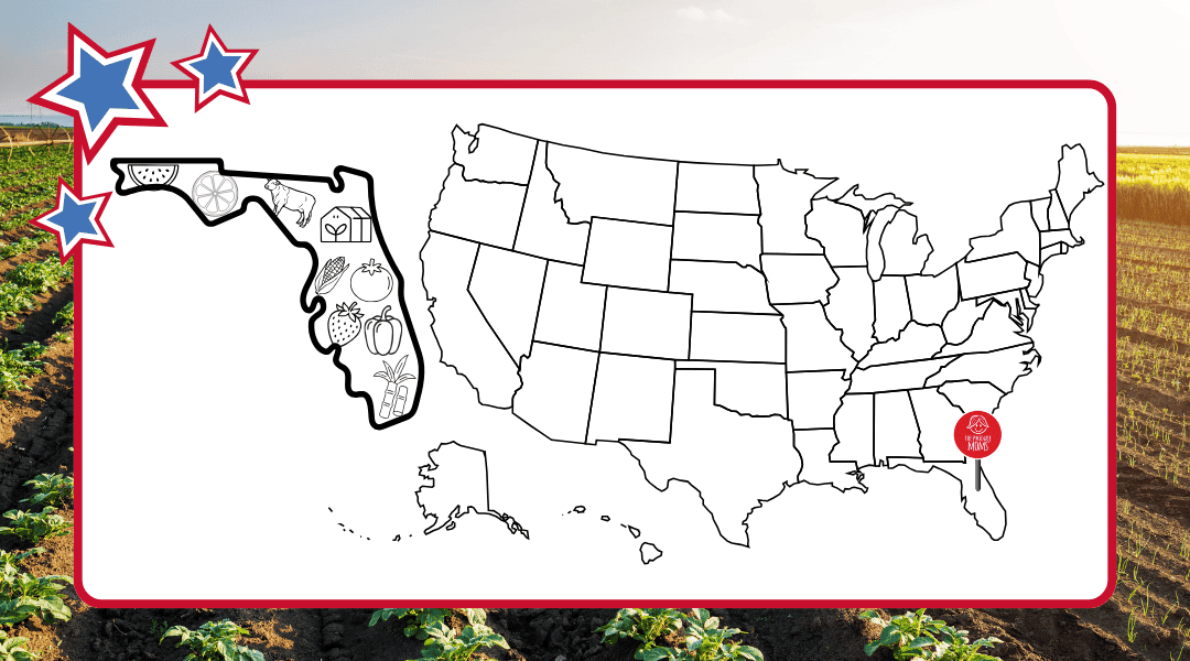 US Map with a pin in Florida and an outline of the state with some of the top agricultural commodities