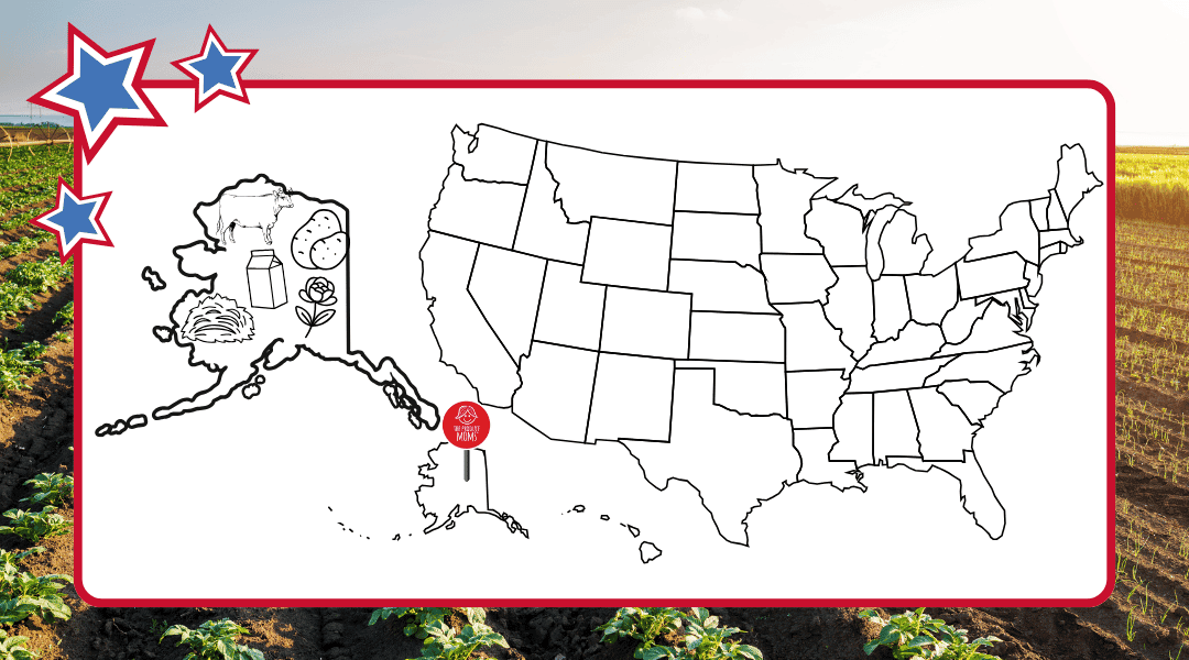 US Map with a pin in Alaska and an outline of the state with some of the top agricultural commodities