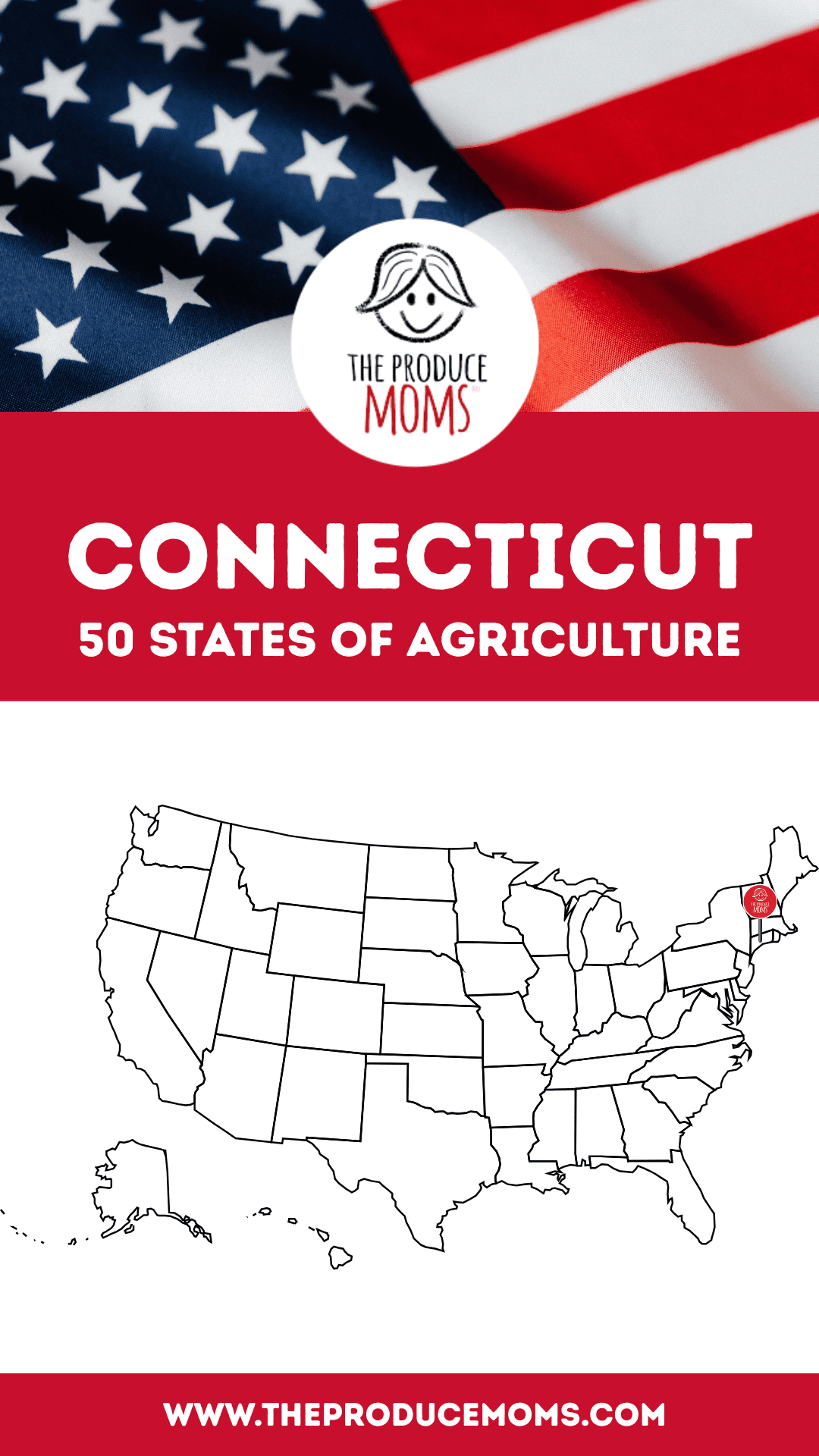 Pinterest Pin Connecticut 50 States of Ag