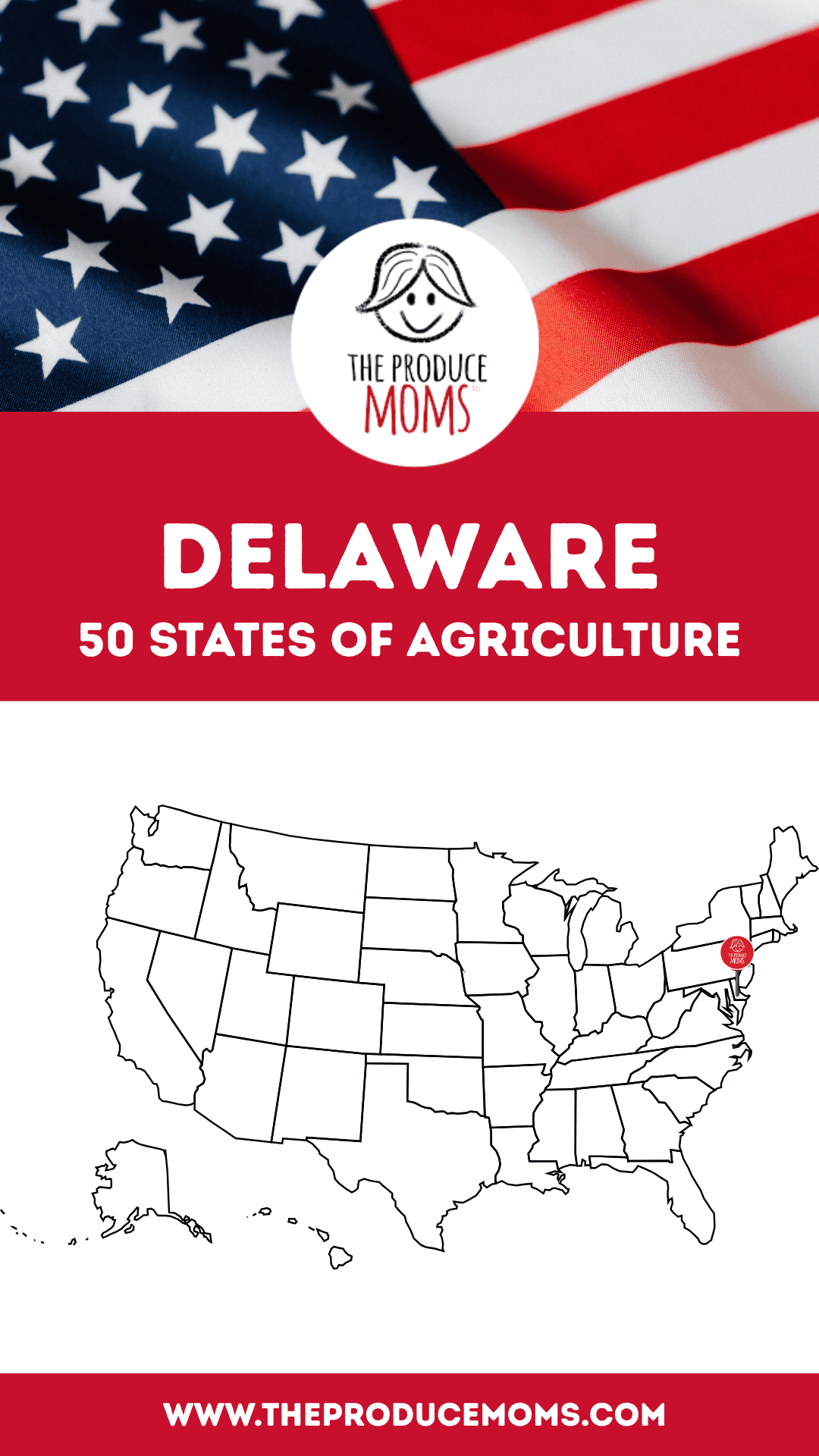 Pinterest Pin Delaware 50 States of Ag