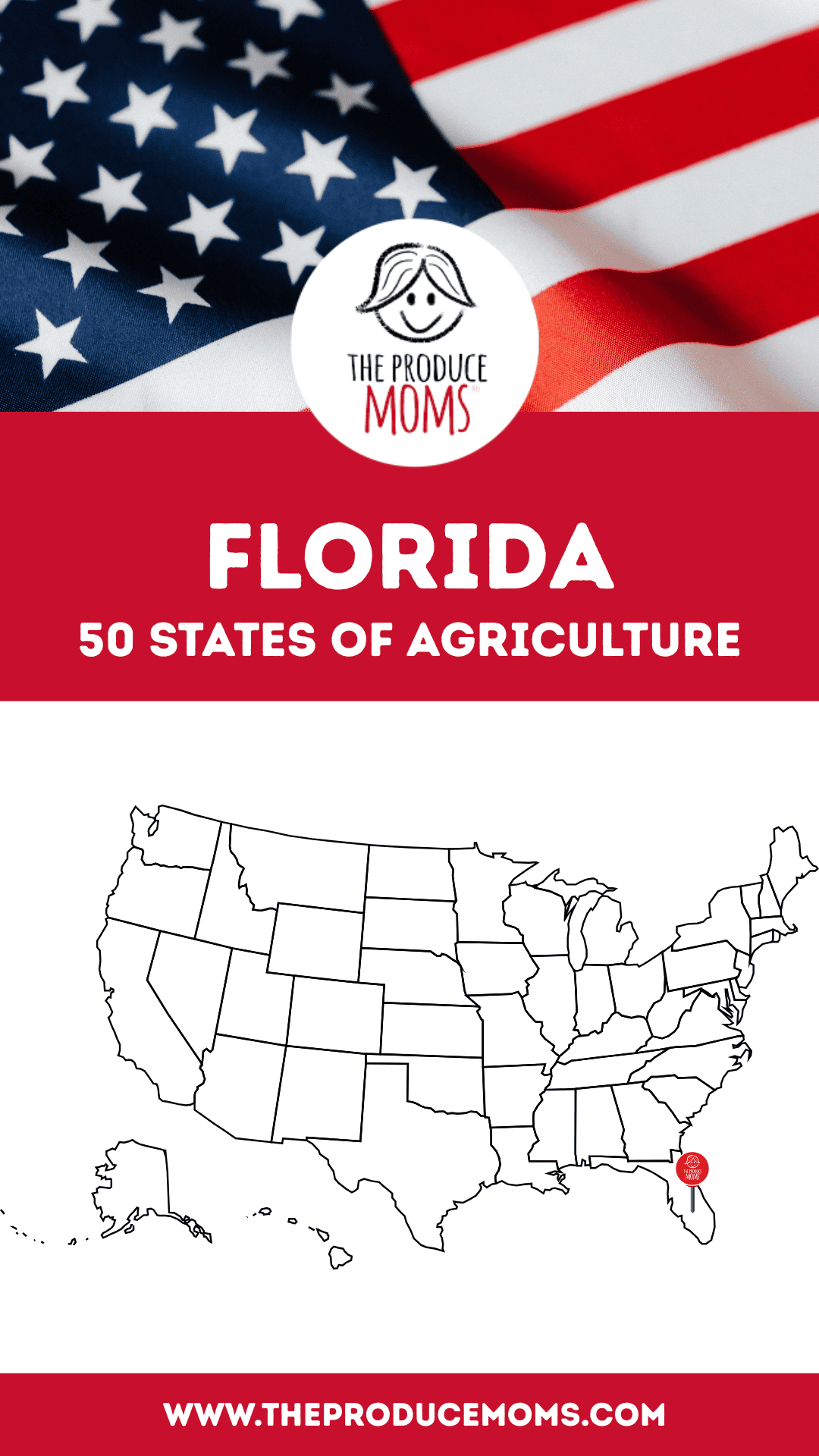 Pinterest Pin Florida 50 States of Ag
