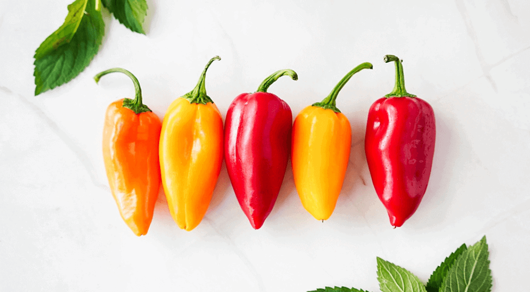 Sweet Mini peppers on a counter with herbs