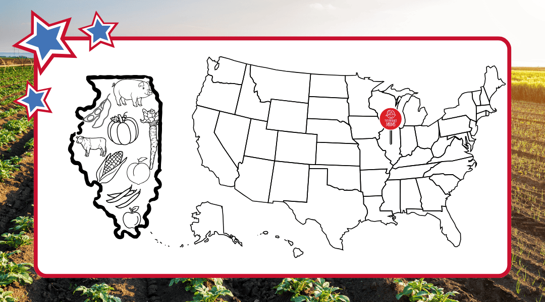 Illinois agriculture captured in an outline next to the map of the USA