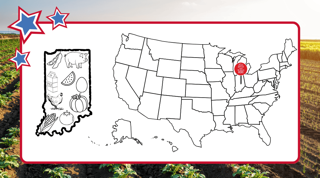 Map of the USA with a pin in Indiana and a the state with top agricultural commodities on the left
