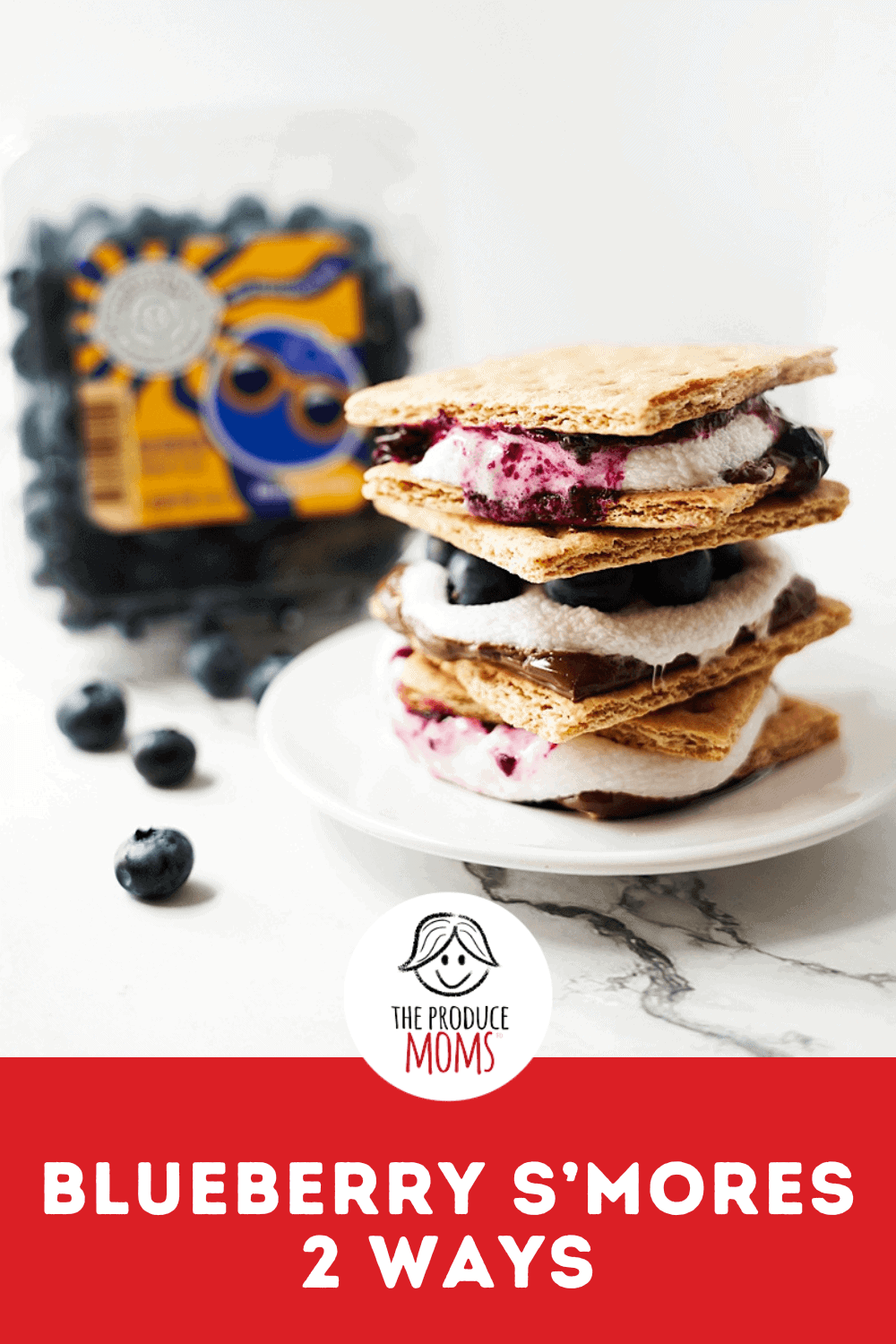Pinterest Pin Blueberry S'mores