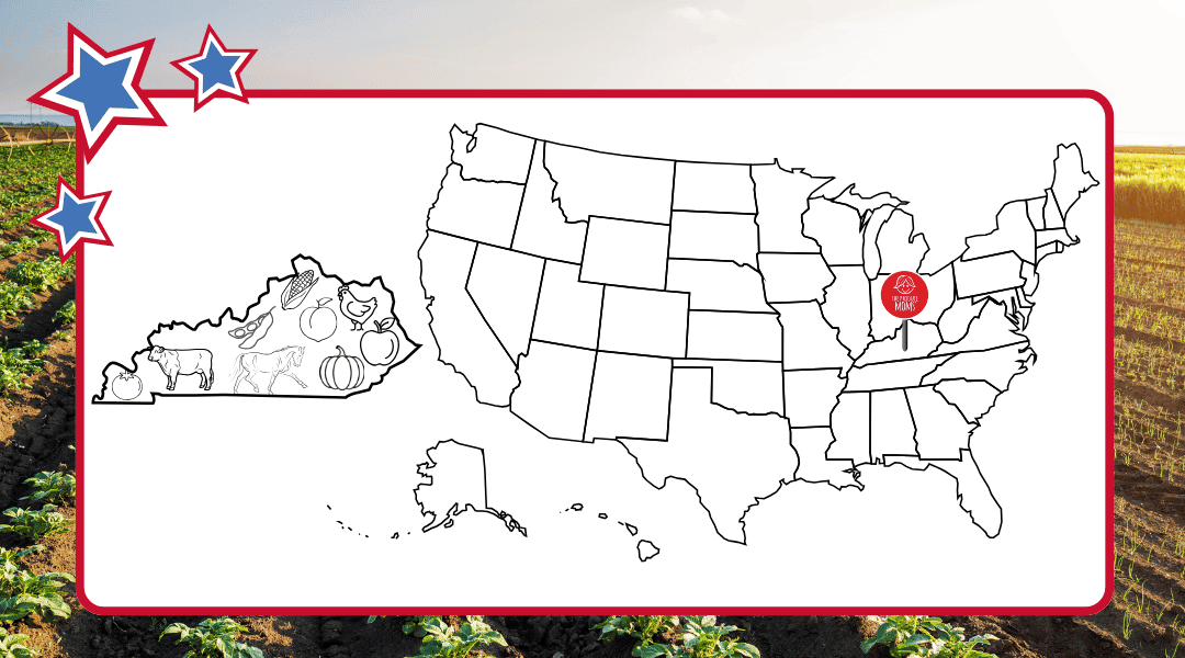USA map with a pin in Kentucky and on the left there is the state outline of KY and some top agricultural commodities