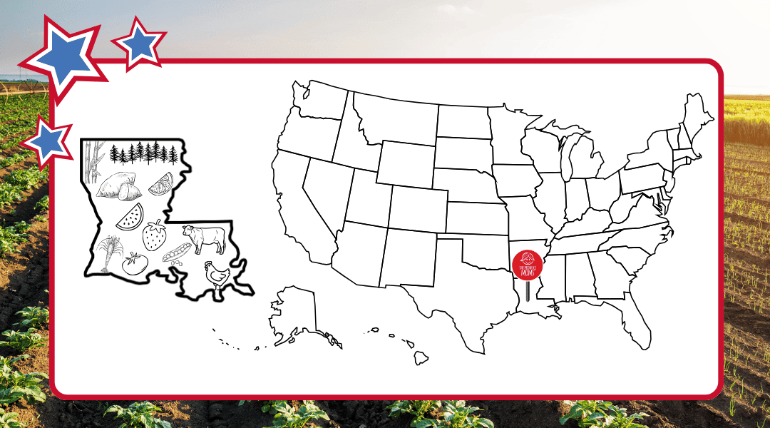 US Map with Louisiana outline to left with top agricultural commodities in the outline
