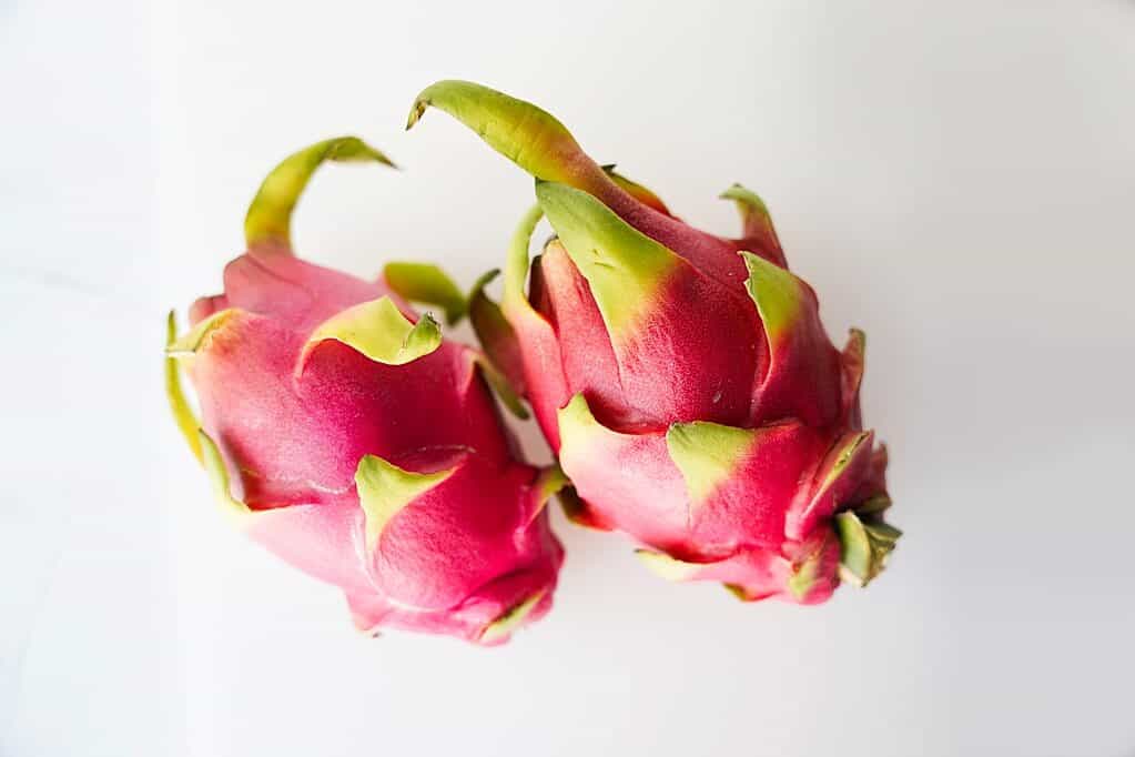 Beauty shot of 2 whole dragon fruit