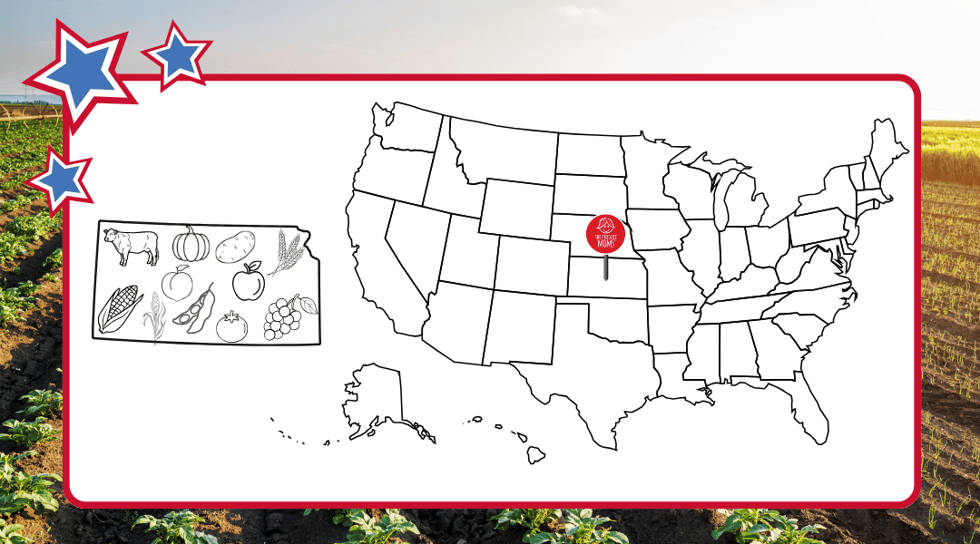 USA Map with a pin in Kansas on the right and to the left is an outline of Kansas with some of their top agriculture commodities