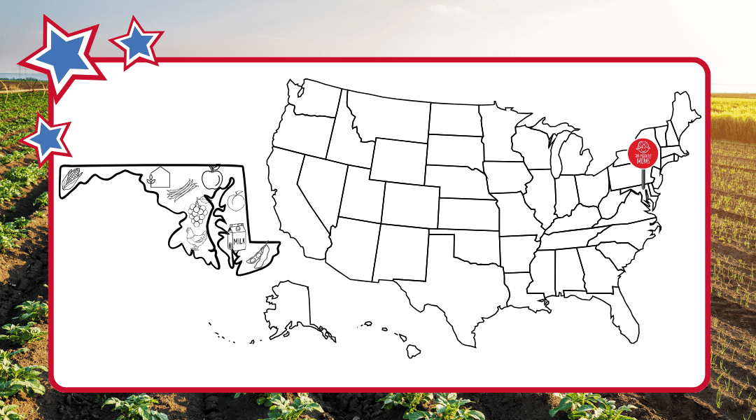 Map of the US with Maryland outline with top agricultural commodities