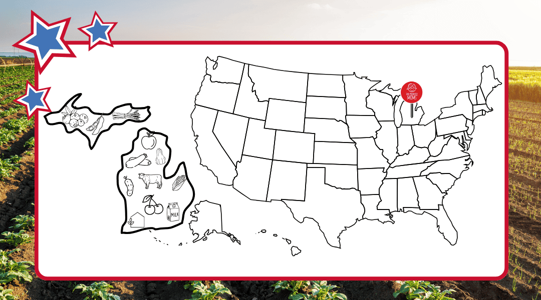USA Map with Michigan outline to theleft with top commodities