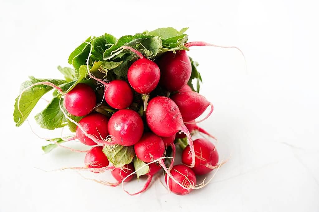 Beauty shot of a radish bunch