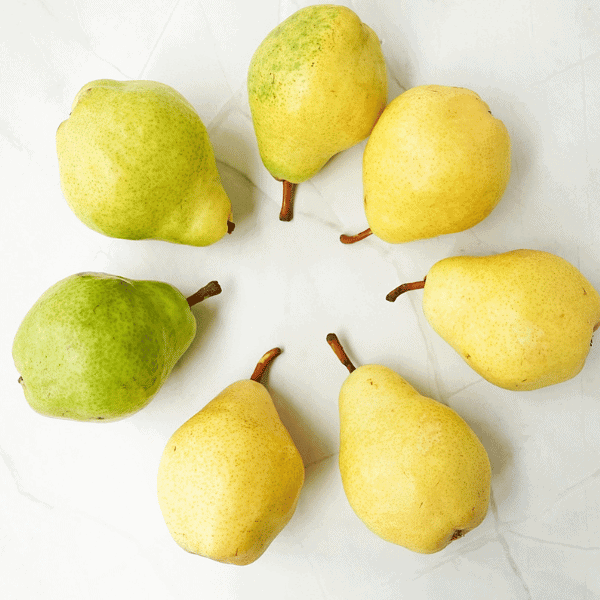 7 pears in a circle - representing the stages of ripeness