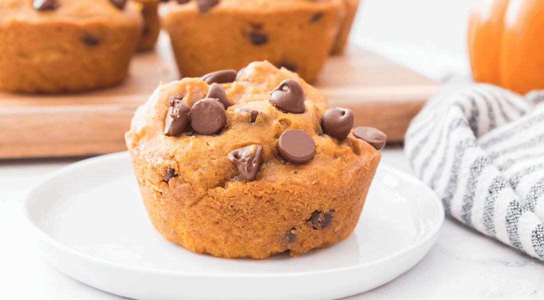 Chocolate Chip Pumpkin Muffin on white plate