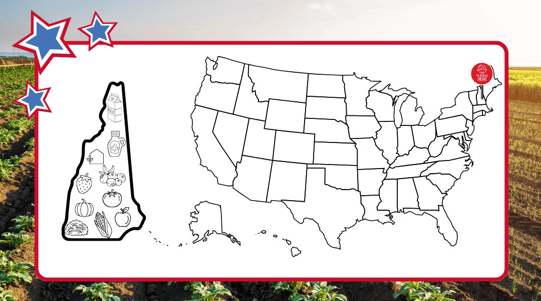 USA Map with pin in New Hampshire. New Hamsphire state outline to the left with top agricultural commodities.