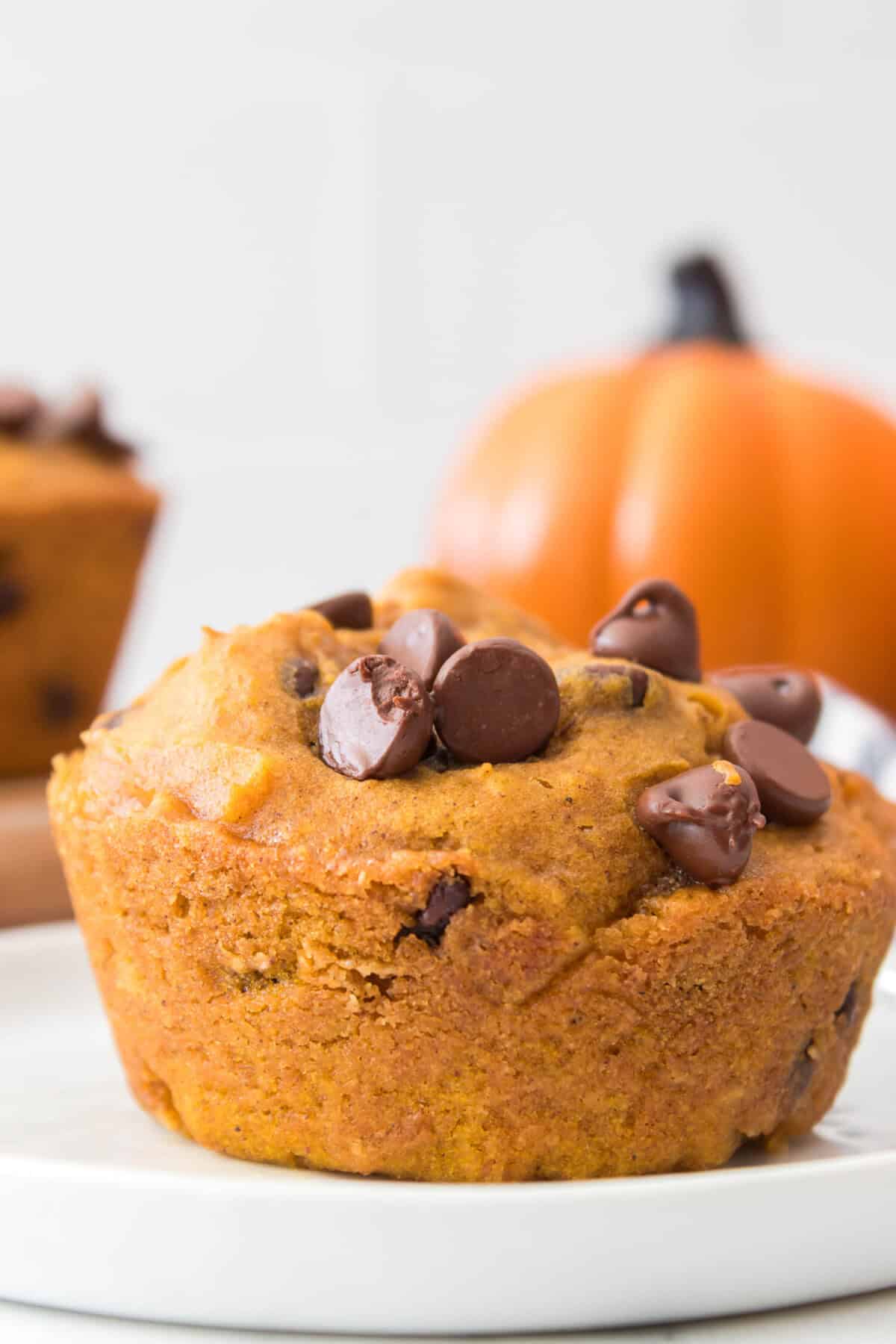 close up of Chocolate Chip Pumpkin Muffin