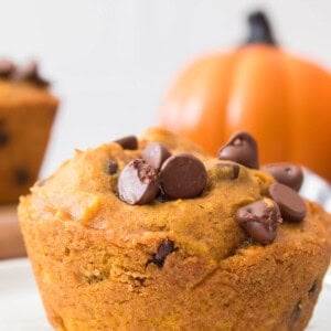 close up of Chocolate Chip Pumpkin Muffin