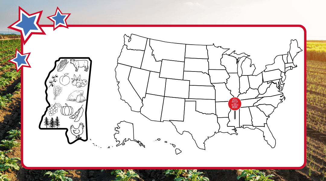 USA with pin in Mississippi. State outline of Mississippi to the left with top commodities