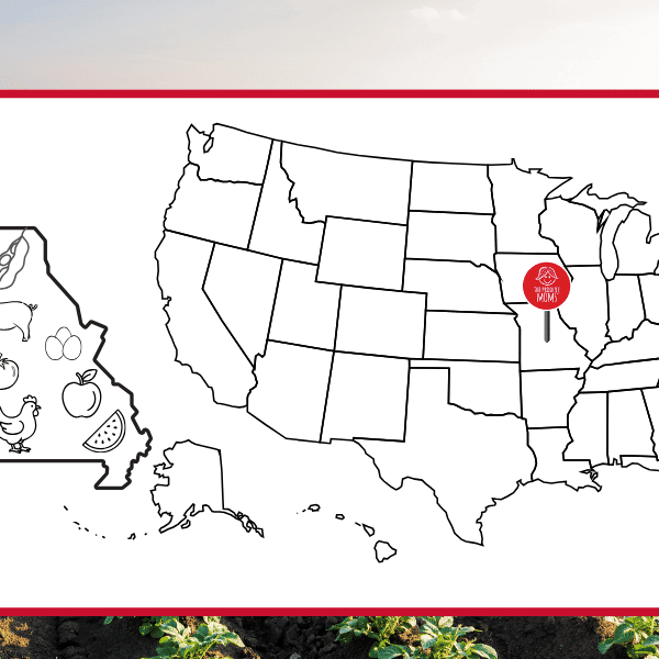 USA Map with pin in Missouri with outline of Missouri and their top agricultural commodities