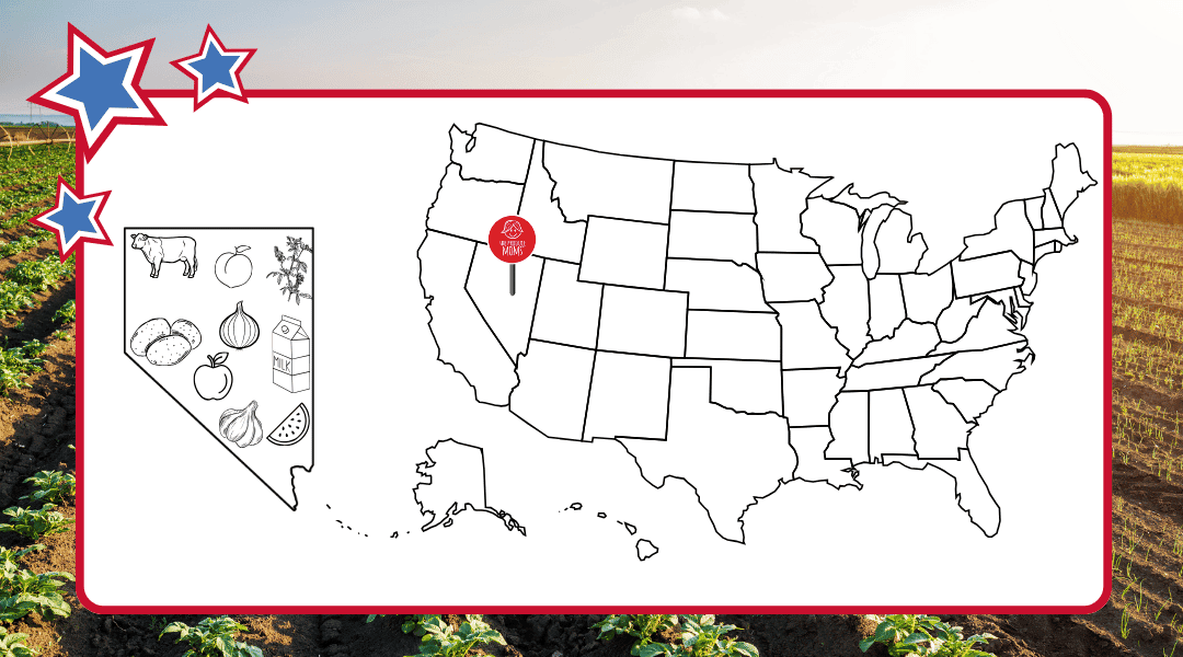 Map of USA with pin in Nevada. An outline of Nevada to the left with all the top agricultural commodities represented