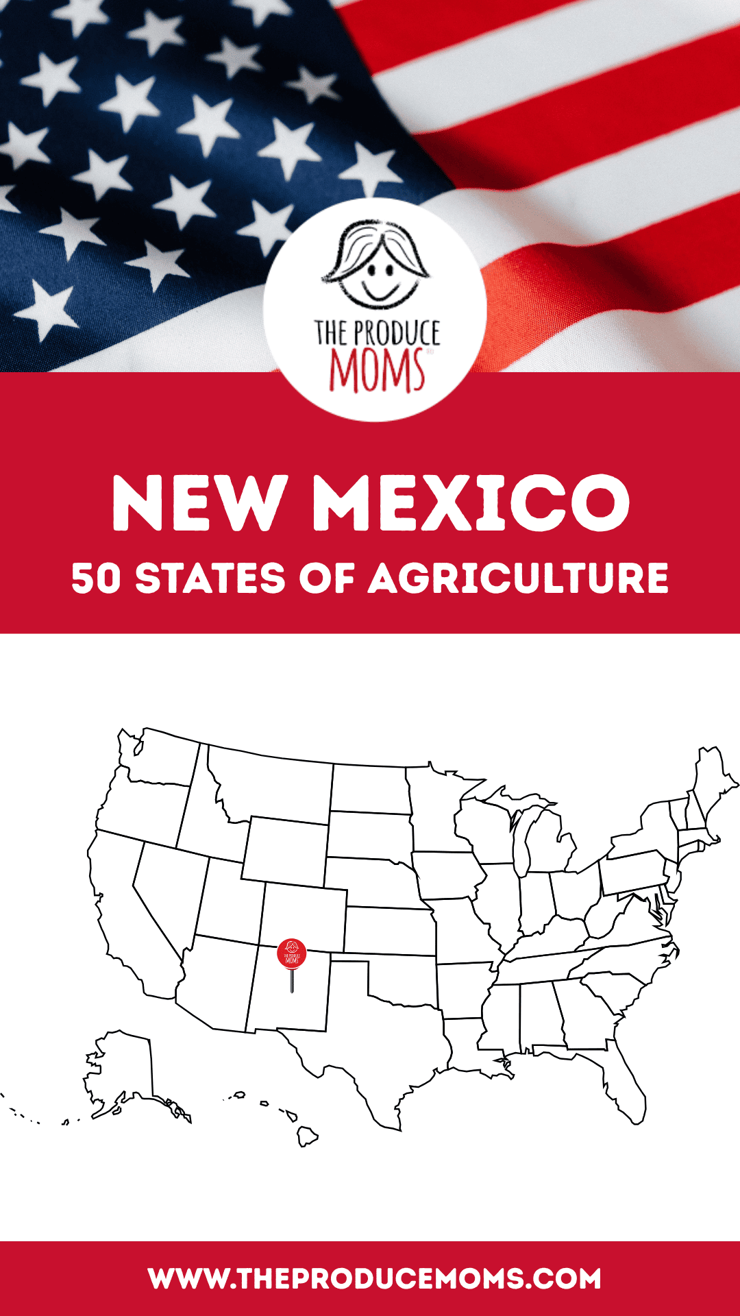 Pinterest Pin 50 States of Ag New Mexico
