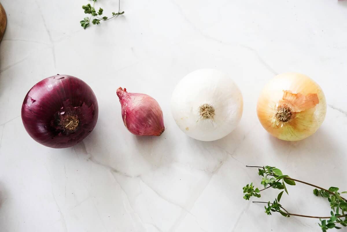 Red onion, shallot, white onion and yellow onion on counter