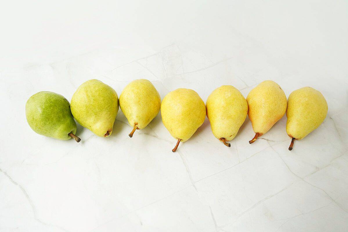 Bartlett pears ranging in Green on the left to deep yellow and speckled on the right