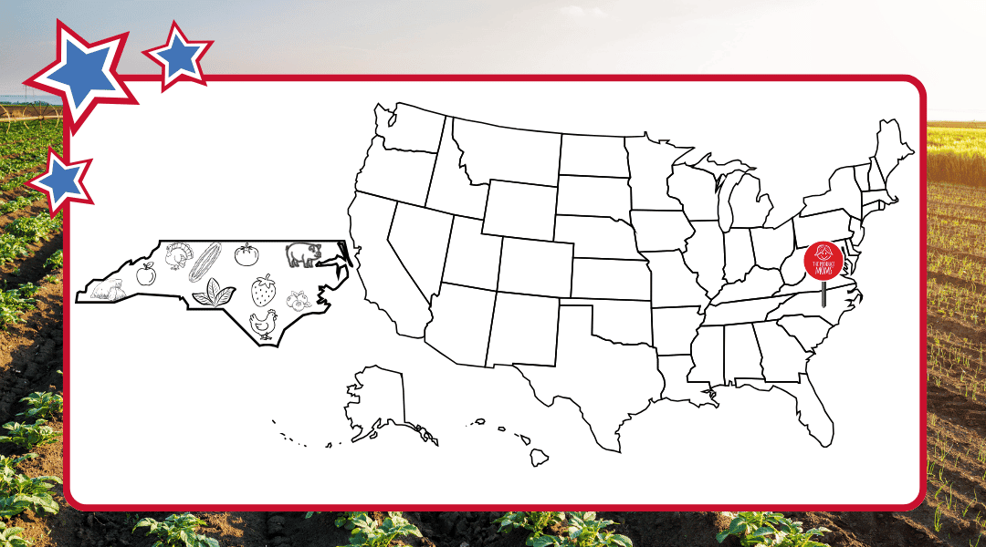Map of US with pin in North Carolina with outline of state filled with top commodities