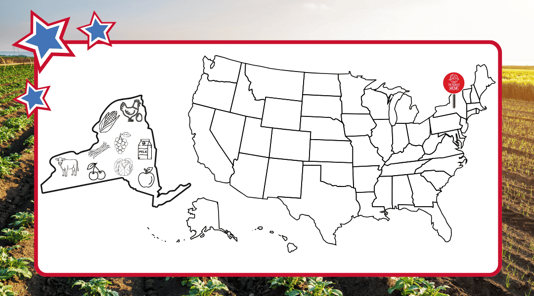 US Map with pin in New York. Plus an outline of New York with all the top agricultural commodities represented